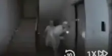 Salerno, ladri tentano di entrare negli appartamenti: i video finiscono sui social