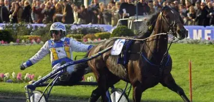 Varenne &egrave; morto: era il pi&ugrave; grande cavallo trottatore di tutti i tempi, aveva 31 anni