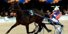 Varenne, leggenda delle piste: il trottatore dei record tra vittorie e una stirpe di campioni