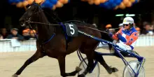 Varenne, un cavallo diventato industria: ha generato un valore di 30 milioni, 6 in premi. "Monte" da 12.000 euro l'una e duemila figli