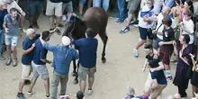 Siena, Tittia ricoverato per trauma cranico dopo la vittoria al Palio: polemiche sulla sicurezza in pista