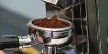 Fondi di caff&eacute;, come utilizzarli contro zanzare, mosche e gatti randagi: tutti i trucchi