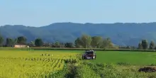Precipita aliante a Rieti, morto il pilota: il corpo recuperato tra Quattro Strade e Cantalice