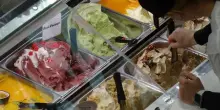 I gelatai italiani accusati in Germania: &laquo;Trattano da schiavi i loro lavoratori&raquo;. Rabbia dei bellunesi, pionieri del settore