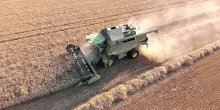 L?impatto della guerra sui raccolti di grano mette i prezzi sotto pressione