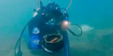 Spighe di farro di 3mila anni nel Lago di Bolsena, dal fondo riemerge il reperto dell'Et&agrave; del Bronzo