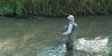 &laquo;Cercava di sopravvivere attaccandosi al modo&raquo;, parla la nipote dell'anziano pescatore buttato in acqua da tre ventenni