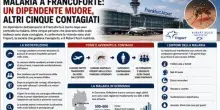 Malaria negli aeroporti, Bassetti: &laquo;Zanzara Anopheles nei bagagli, pu&ograve; vivere nello scalo per un periodo limitato&raquo;