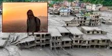 Stefano Lotumolo, sopravvissuto in Nepal: &laquo;Gi&ugrave; dal bus in 20 secondi e la fuga a piedi sul monte. Ho visto sparire la vallata&raquo;