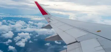 Aspettano le valigie, ma l?aereo riparte con i bagagli di 80 passeggeri ancora nella stiva: &laquo;Dentro anche medicinali importanti&raquo;