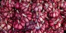 Aglio, come prepararlo per sfruttare al meglio tutte le sue propriet&agrave; (e come consumarlo per preservarne i benefici)