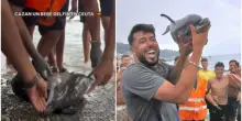 Choc a Ceuta: migranti uccidono cucciolo di delfino e lo espongono (sorridendo) come un trofeo