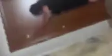 Cento truffati da agenzia di viaggi a Pozzuoli, tenta di entrare in casa della titolare
