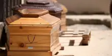 Firenze, scambio di salme all'obitorio: Leonardo cremato per errore. I parenti lo scoprono pochi minuti prima del funerale