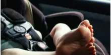 Lascia la nipotina di 8 mesi in auto sotto al sole per dei gattini, nonna arrestata. Ma la sua preoccupazione &egrave; un'altra: &laquo;Posso ancora adottarli?&raquo;