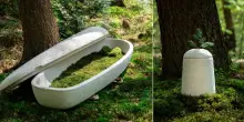 Donna sepolta in una bara di funghi, primo caso in Australia. &laquo;Nuova tendenza per funerali pi&ugrave; sostenibili&raquo;