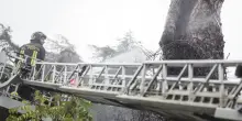 Tromba d'aria spacca le finestre a Sinalunga, donna muore dissanguata per una scheggia che le recide la vena safena