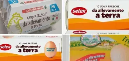 Uova ritirate dal commercio per rischio salmonella, quali sono i prodotti da non consumare e dove sono stati venduti