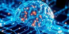 &laquo;Il cervello &egrave; composto da due organi separati&raquo;, la scoperta rivoluzionaria: verso una svolta per Sla e atrofia muscolare spinale