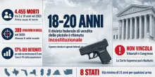 &laquo;Il divieto di vendere armi ai minori di ventuno anni negli Stati Uniti &egrave; incostituzionale&raquo;