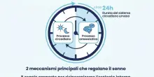 Insonnia o vi sentite stanchi appena svegli? Il problema potrebbe essere il vostro orologio biologico, 5 modi per equilibrarlo