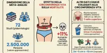 Dieta, &laquo;Chi ha la pancia si ammala di pi&ugrave;&raquo;: dal diabete ai tumori, i rischi e come eliminarla