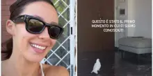 Aurora Ramazzotti alle prese con un piccione in salotto: &laquo;Bloccata da un'ora sul balcone&raquo;. Il siparietto &egrave; esilarante