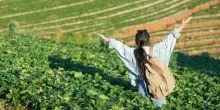&laquo;Ho lasciato il lavoro per viaggiare. Ora con mia moglie gestisco una fattoria in Corea. Il mio consiglio? Non fatelo&raquo;