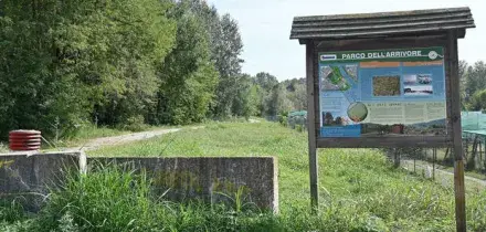 Torino, abusi su 12enne nel parco: il giovane fermato ha confessato. &laquo;Ero sotto effetto di droghe&raquo;
