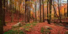 Equinozio d'autunno, oggi finisce l'estate: cosa cambia, perch&eacute; cade oggi e come mai la data non &egrave; fissa