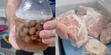 Vermi e insetti negli alimenti, sospeso un deposito alimentare a Caivano| VIDEO
