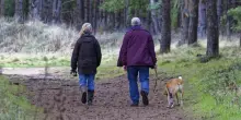 &laquo;Avere un cane riduce il rischio di demenza fino al 40%&raquo;, la scoperta in Giappone
