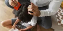 Pidocchi e ossiuri, il pediatra: &laquo;Non sono sintomo di scarsa igiene. Gli spray per la prevenzione? Inutili e dannosi&raquo;. La guida per il rientro a scuola