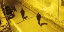 Rapina in casa a Casapesenna, coppia sequestrata: picchiati ed aggrediti da una banda