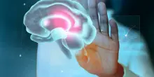 Alzheimer, le risonanze magnetiche possono individuare i segni della malattia anni prima: lo studio su Nature Neuroscience