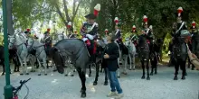 Al Pet Carpet, festival del cinema sugli animali, trionfano Marocco, Italia e USA nel segno di San Francesco