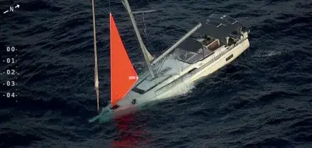 Yacht colpisce una balena e affonda nell'oceano Pacifico: quattro marinai salvati dopo ore su una zattera