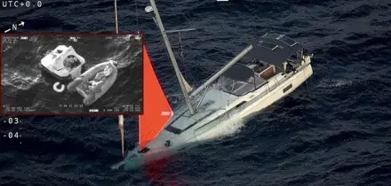 Yacht colpisce una balena e affonda nell'oceano Pacifico, quattro marinai salvati dopo ore su una zattera