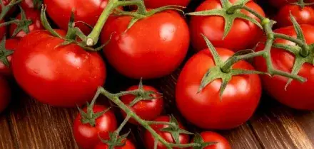 Salmonella nei pomodori, &laquo;numerosi focolai&raquo; in quattro regioni: stop ai prodotti freschi crudi in mense, ospedali e case di cura
