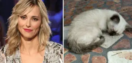 Francesca Fialdini salva la gattina Ninfa: la conduttrice ha pagato le sue cure. E ora vuole adottarla
