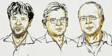 L?alga che cerca la luce e ?accende? il cervello: ecco il Nobel per la Medicina
