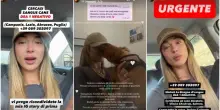 Soleil Sorge, paura per il cagnolino Simbah. L'appello ai follower e le lacrime: &laquo;Ora siamo nelle mani di Dio&raquo;