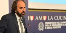 Fondazione Aletheia: &laquo;Studio Universit&agrave; Cattolica sui cibi di laboratorio conferma preoccupazioni per salute e ambiente&raquo;