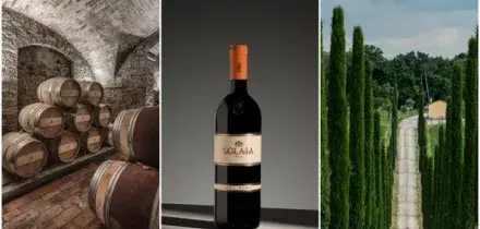 Maxi colpo alla Marchesi Antinori, rubate 30mila bottiglie: bottino da 5 milioni, &egrave; il furto di vino pi&ugrave; ricco mai avvenuto in Italia