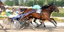 Chiusura dell'ippodromo di Aversa per mancati adempimenti e ritardi, le corse riprogrammate ad Agnano