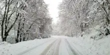 Inverno, neve sotto la media in Italia? Le proiezioni (e perch&eacute; El Ni&ntilde;o pu&ograve; cambiare lo scenario)