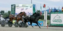 Derby e Uet, trionfo napoletano a Torino: un omaggio a Varenne, Frank Gio domina il francese Go On Boy e lo svedese Don Fanucci Zet