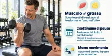 Cosa succede davvero ai muscoli se interrompiamo l'allenamento in palestra: ecco come cambia il corpo