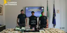 Frode sull'Iva del pesce, due milioni nascosti nelle celle frigorifere in provincia di Napoli