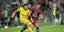 Salernitana-Scafatese, il derby all'Arechi questa sera: Lescano-Palmieri, la sfida tra bomber